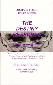 Cover Image for The Destiny Response